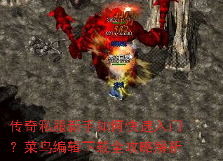 传奇私服新手如何快速入门?菜鸟编辑下载全攻略解析 传奇私服新手如何快速入门?菜鸟编辑下载全攻略解析