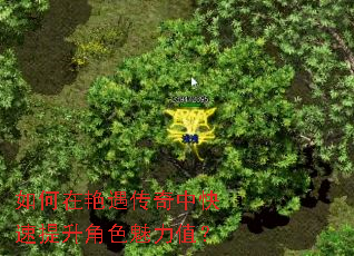 如何在艳遇传奇中快速提升角色魅力值? 如何在艳遇传奇中快速提升角色魅力值?