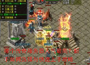 哪个传奇服务器人气最高?新手如何选择与快速上手攻略 哪个传奇服务器人气最高?新手如何选择与快速上手攻略