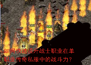 ��ο�������սʿְҵ�ڵ�ְҵ����˽���е�ս������