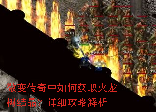 ΢�䴫������λ�ȡ�������ᾧ����ϸ���Խ���