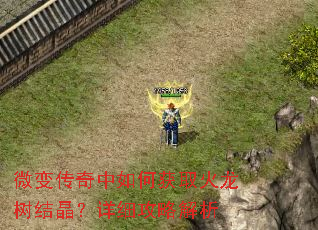 ΢�䴫������λ�ȡ�������ᾧ����ϸ���Խ���