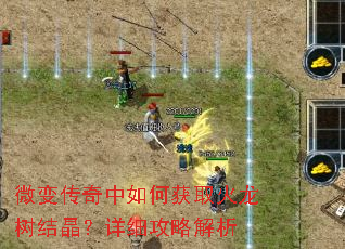 ΢�䴫������λ�ȡ�������ᾧ����ϸ���Խ���