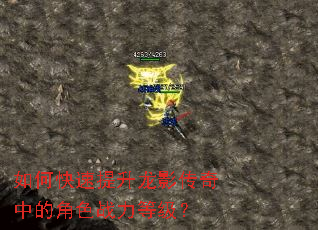 如何快速提升龙影传奇中的角色战力等级? 如何快速提升龙影传奇中的角色战力等级?