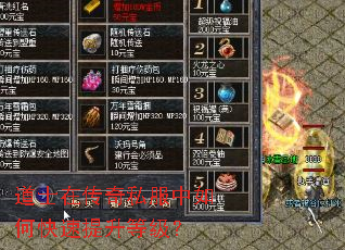 道士在传奇私服中如何快速提升等级? 道士在传奇私服中如何快速提升等级?