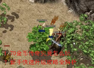 1.70金币传奇究竟怎么玩?新手快速升级攻略全解析 1.70金币传奇究竟怎么玩?新手快速升级攻略全解析