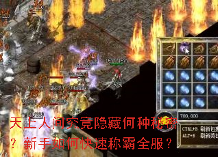 天上人间究竟隐藏何种秘密?新手如何快速称霸全服? 天上人间究竟隐藏何种秘密?新手如何快速称霸全服?