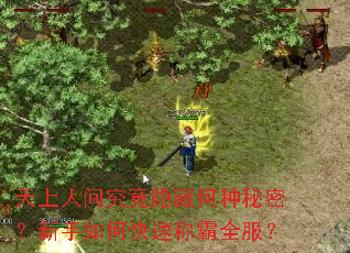 天上人间究竟隐藏何种秘密?新手如何快速称霸全服? 天上人间究竟隐藏何种秘密?新手如何快速称霸全服?