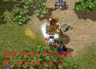 维京传奇道士魂环如何搭配才能发挥最大战力? 维京传奇道士魂环如何搭配才能发挥最大战力?
