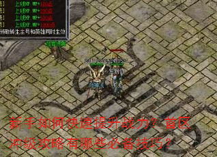 新手如何快速提升战力?首区冲级攻略有哪些必备技巧? 新手如何快速提升战力?首区冲级攻略有哪些必备技巧?