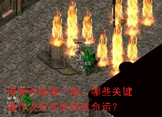 ���濪����һ�ܣ���Щ�ؼ��������������Ϸ���ˣ�