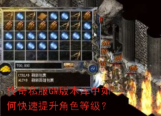 传奇私服GM版本库中如何快速提升角色等级? 传奇私服GM版本库中如何快速提升角色等级?