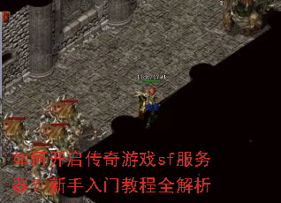 如何开启传奇游戏sf服务器?新手入门教程全解析 如何开启传奇游戏sf服务器?新手入门教程全解析