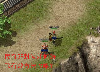 ����SF�����ν����Ч�������ԣ�