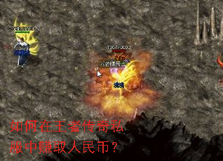 如何在王者传奇私服中赚取人民币? 如何在王者传奇私服中赚取人民币?