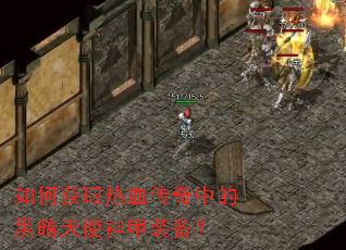 ��λ�ȡ��Ѫ�����еĺڰ���ʹ���װ����