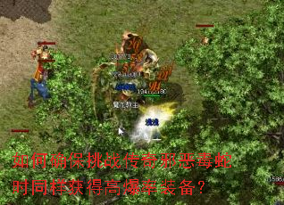 如何确保挑战传奇邪恶毒蛇时同样获得高爆率装备? 如何确保挑战传奇邪恶毒蛇时同样获得高爆率装备?