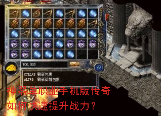 ������ְҵ�ֻ��洫����ο�������ս����