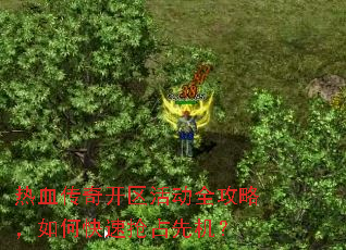 热血传奇开区活动全攻略,如何快速抢占先机? 热血传奇开区活动全攻略,如何快速抢占先机?