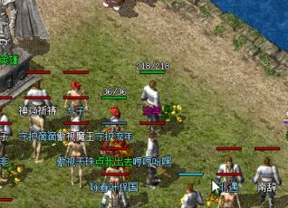 在1.76小极品中怎样才能获得召唤神兽？