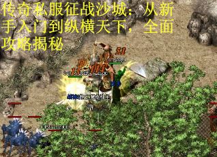 传奇私服征战沙城：从新手入门到纵横天下，全面攻略揭秘