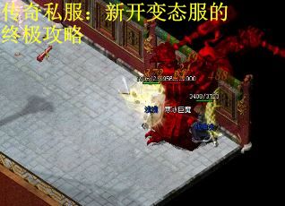 传奇私服：新开变态服的终极攻略