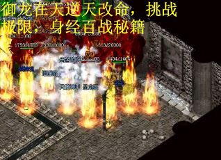 御龙在天逆天改命，挑战极限，身经百战秘籍