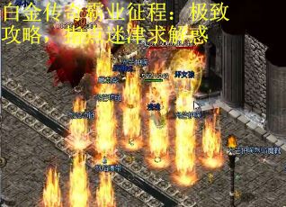 白金传奇霸业征程：极致攻略，指点迷津求解惑