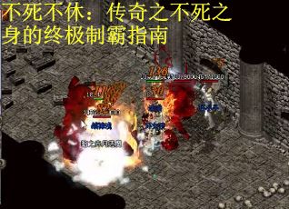 不死不休：传奇之不死之身的终极制霸指南