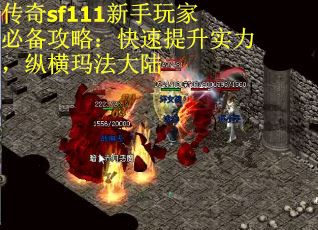传奇sf111新手玩家必备攻略：快速提升实力，纵横玛法大陆