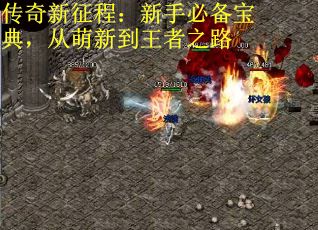 传奇新征程：新手必备宝典，从萌新到王者之路