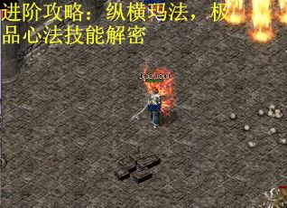 进阶攻略：纵横玛法，极品心法技能解密