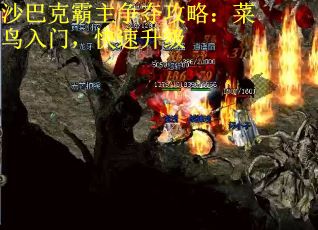 沙巴克霸主争夺攻略：菜鸟入门，快速升级