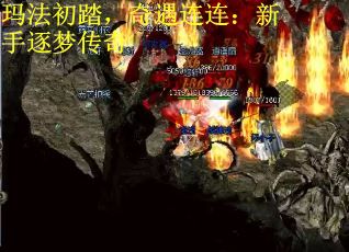 玛法初踏，奇遇连连：新手逐梦传奇
