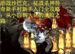 助战沙巴克，征战杀神传奇新手村新手入门全攻略：从小白到大佬的进阶之路