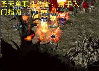 圣天单职业传奇：新手入门指南