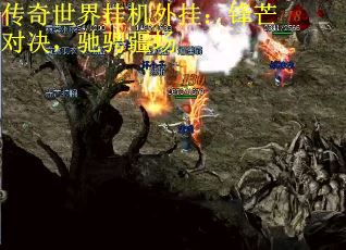 传奇世界挂机外挂：锋芒对决，驰骋疆场