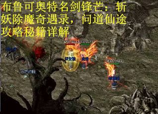 布鲁可奥特名剑锋芒：斩妖除魔奇遇录，问道仙途攻略秘籍详解