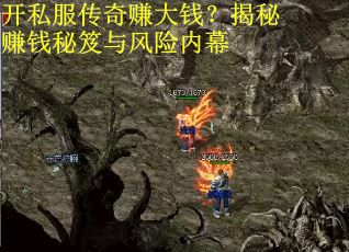 开私服传奇赚大钱？揭秘赚钱秘笈与风险内幕