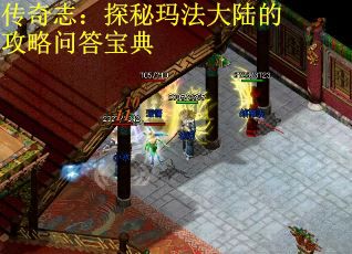 传奇志：探秘玛法大陆的攻略问答宝典