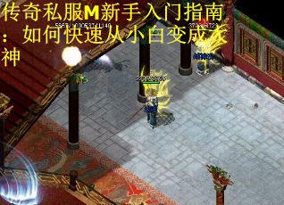 传奇私服M新手入门指南：如何快速从小白变成大神