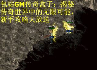包站GM传奇盒子：揭秘传奇世界中的无限可能，新手攻略大放送