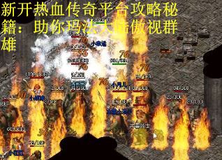 新开热血传奇平台攻略秘籍：助你玛法大陆傲视群雄