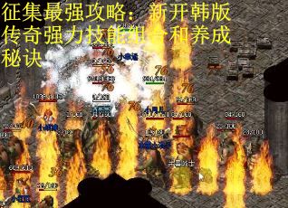 征集最强攻略：新开韩版传奇强力技能组合和养成秘诀