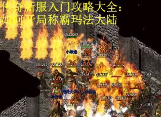 传奇新服入门攻略大全：如何开局称霸玛法大陆