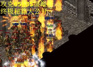 攻克65535级巅峰，终极秘籍大公开