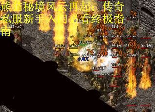 熊猫秘境风云再起：传奇私服新手入门必看终极指南