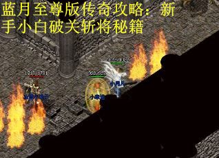 蓝月至尊版传奇攻略：新手小白破关斩将秘籍