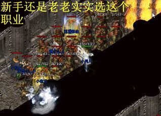 新手还是老老实实选这个职业