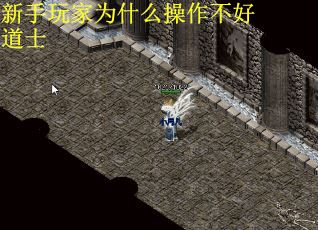 新手玩家为什么操作不好道士